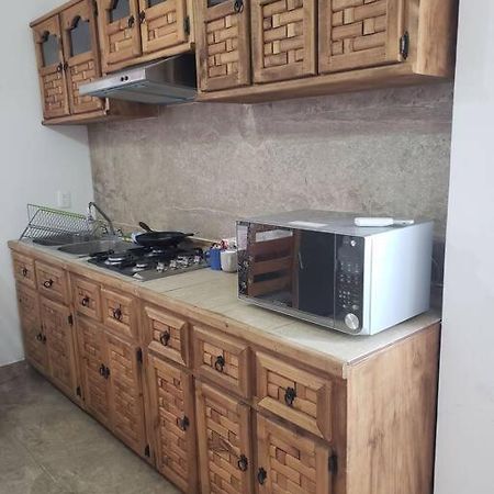 Petit Y Comodo Loft En La Ciudad. 蒙特雷 外观 照片